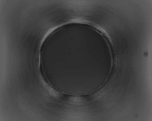 X0000091531323200708311302
