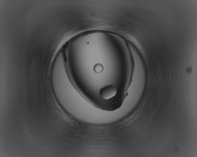 X0000091531324200708311302