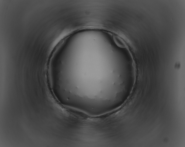 X0000091531325200708311302
