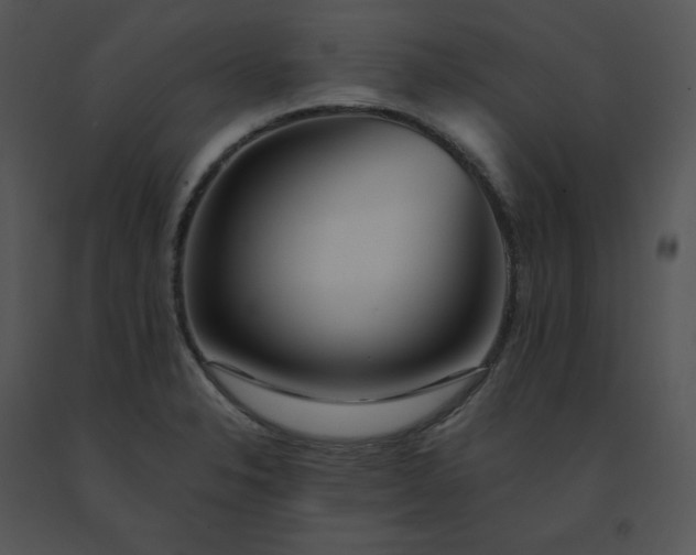 X0000091531326200708311302