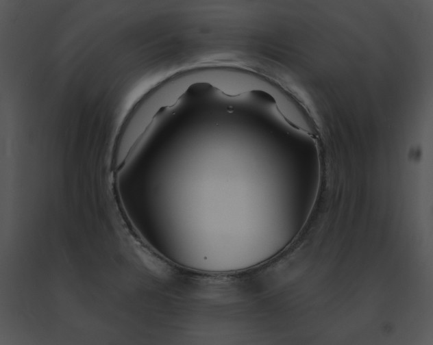 X0000091531328200708311302