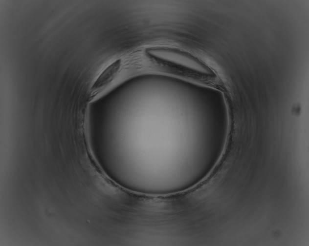 X0000091531329200708311302