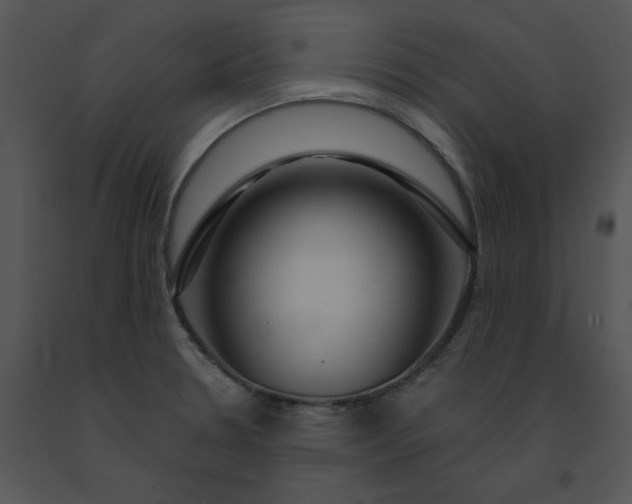 X0000091531330200708311302