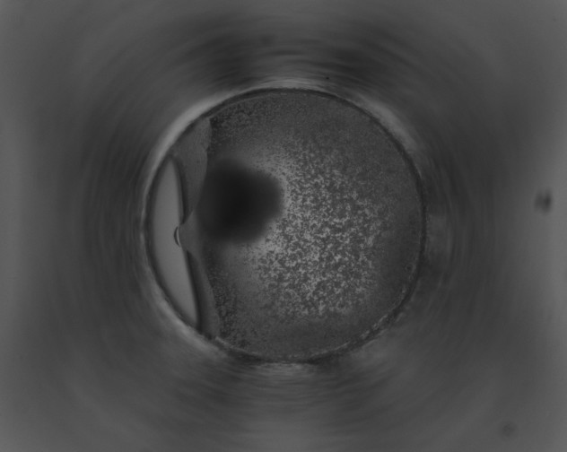 X0000091531331200708311302