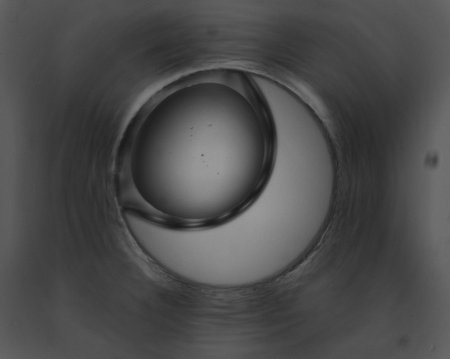 X0000091531332200708311302
