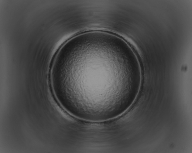 X0000091531333200708311302