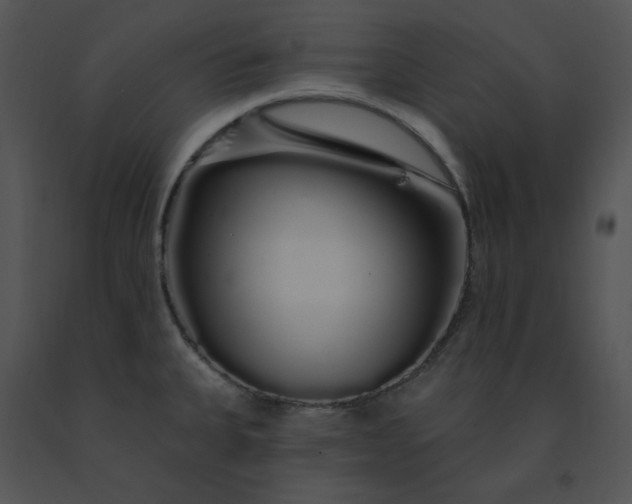 X0000091531335200708311302