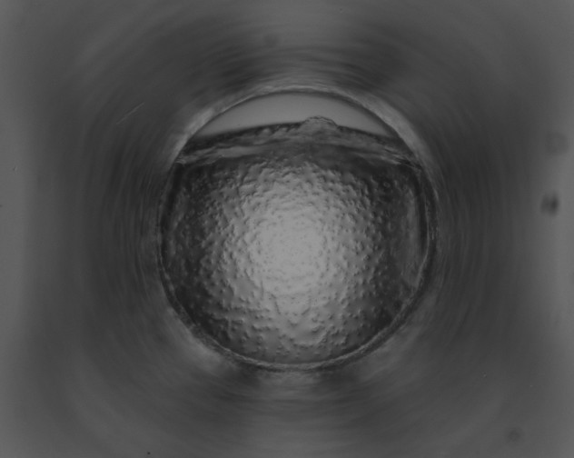 X0000091531337200708311302