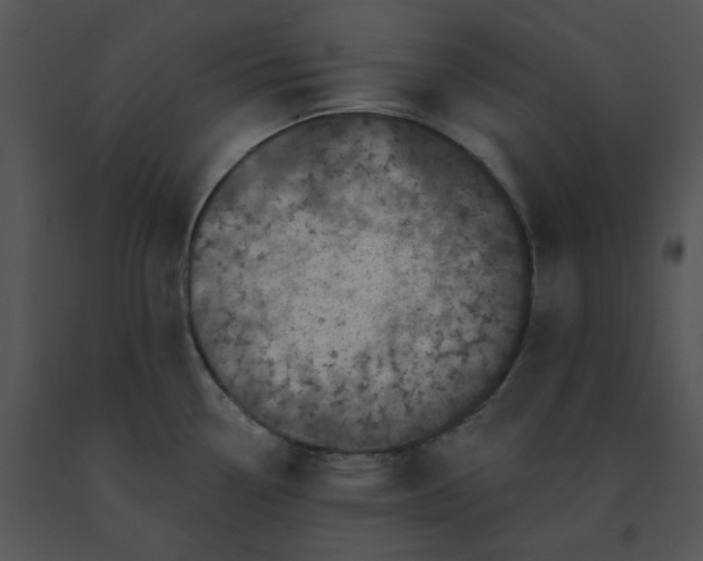 X0000091531338200708311302