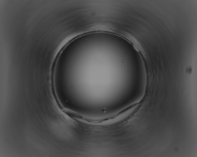 X0000091531339200708311302