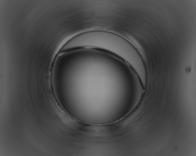 X0000091531340200708311302