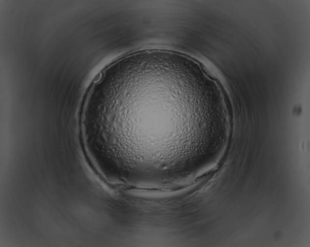 X0000091531341200708311302