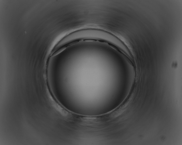 X0000091531342200708311302