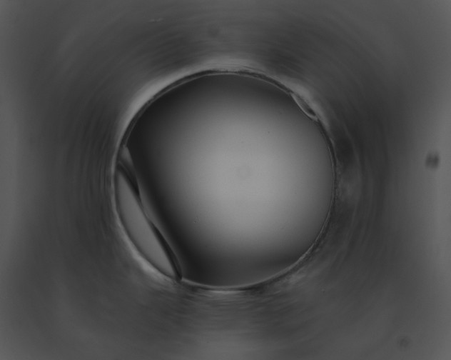 X0000091531343200708311302