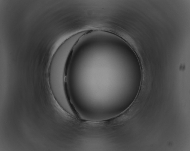X0000091531344200708311303