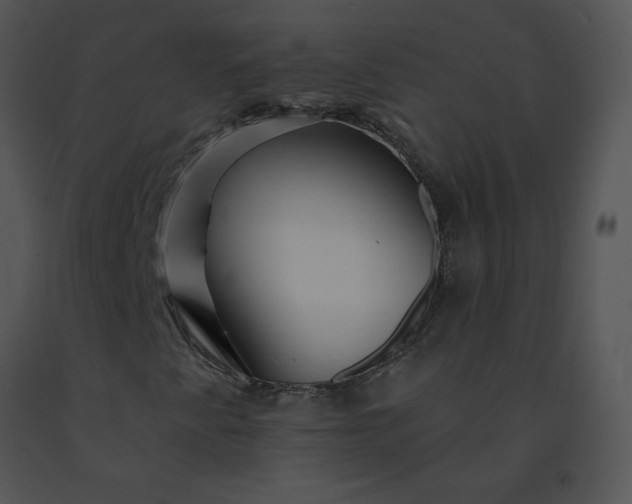 X0000091531345200708311302