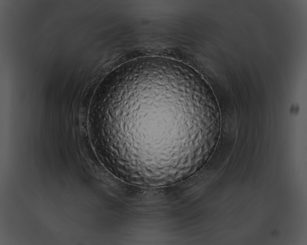 X0000091531346200708311302