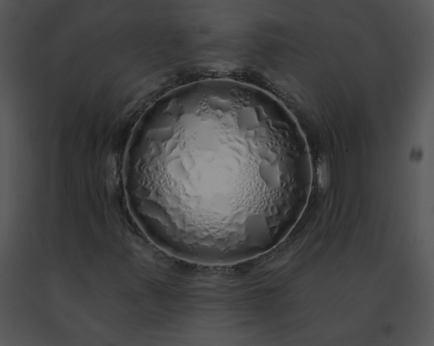 X0000091531347200708311302