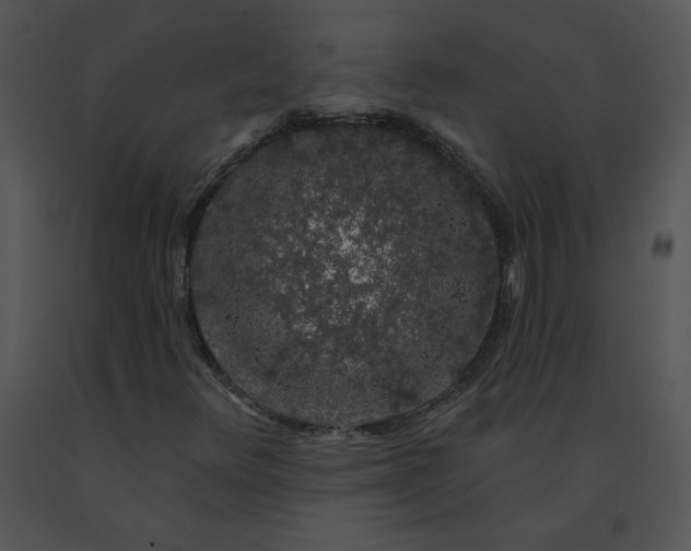 X0000091531348200708311302