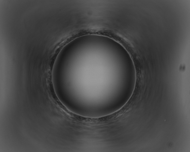 X0000091531349200708311302