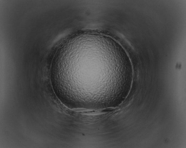 X0000091531350200708311302