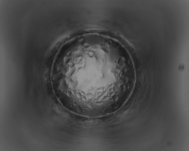 X0000091531351200708311302