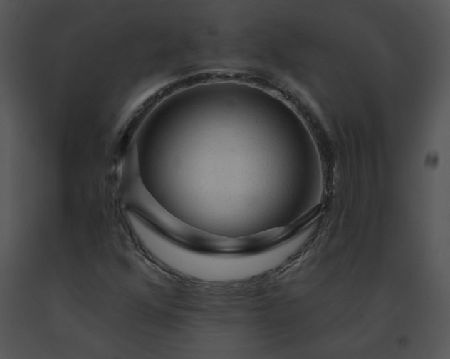 X0000091531352200708311302