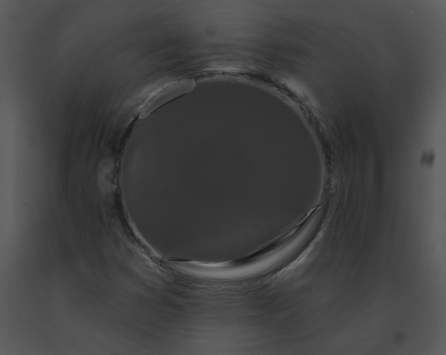 X0000091531353200708311302