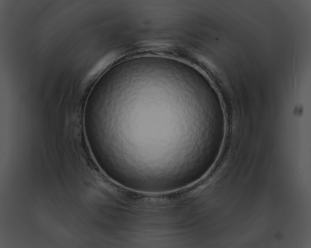 X0000091531354200708311302