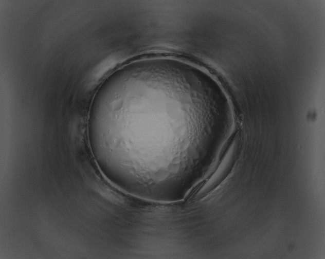 X0000091531355200708311302