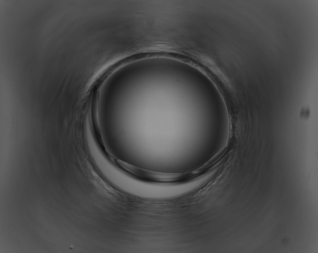 X0000091531356200708311302