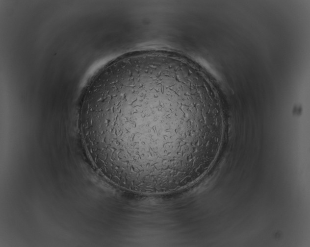 X0000091531358200708311302