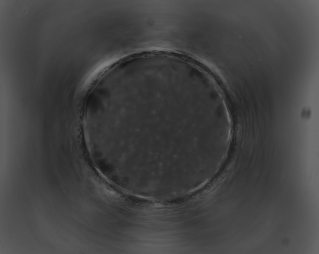X0000091531359200708311302