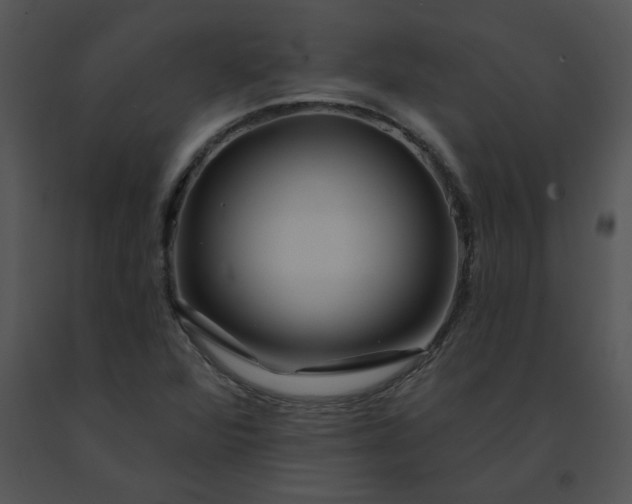 X0000091531360200708311302