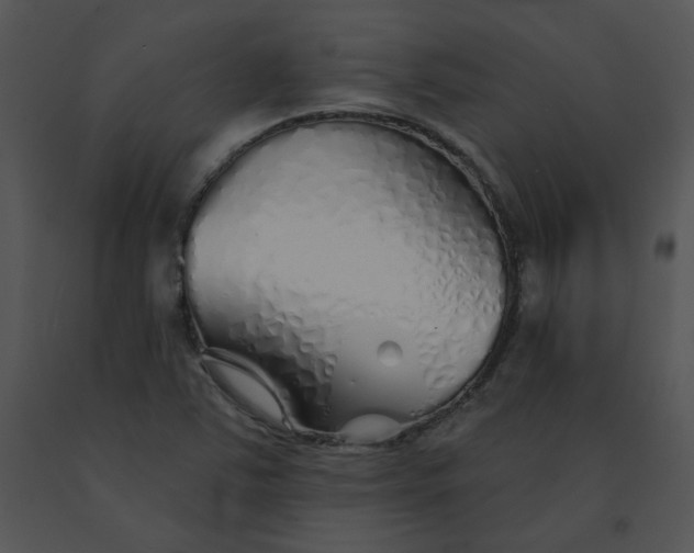 X0000091531363200708311302