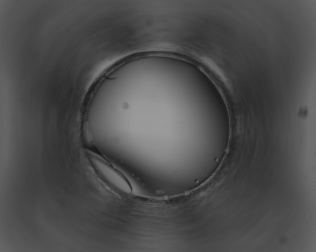 X0000091531364200708311302