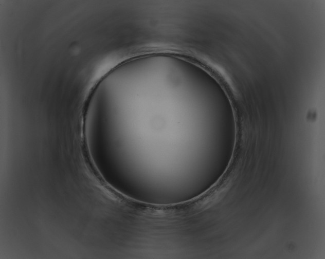 X0000091531365200708311302