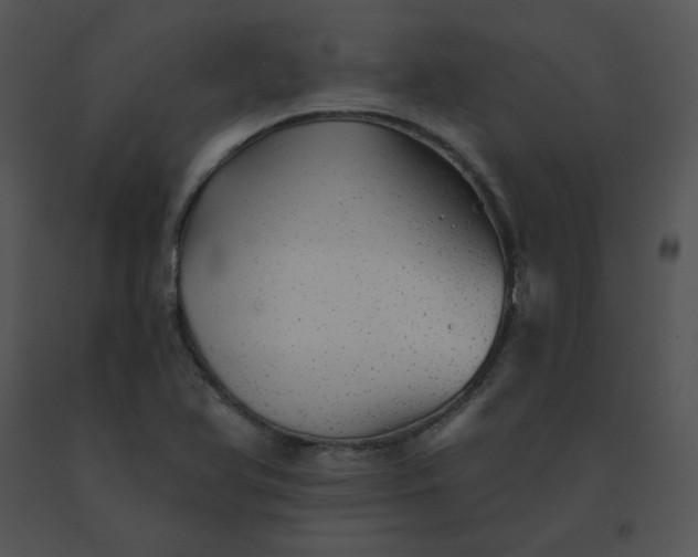 X0000091531366200708311302