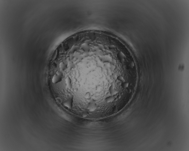 X0000091531367200708311302