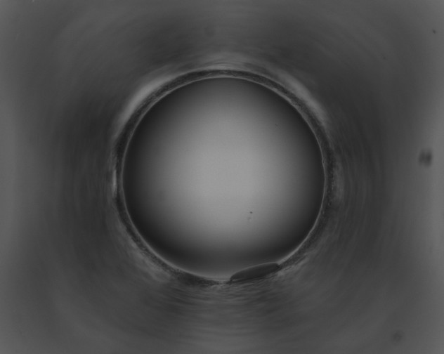 X0000091531368200708311302