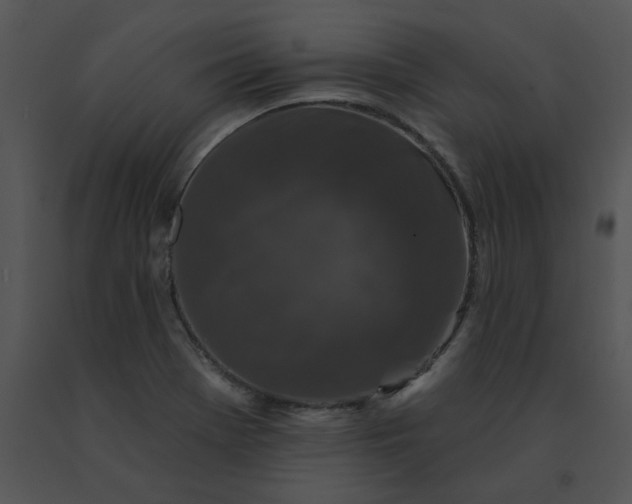 X0000091531369200708311302
