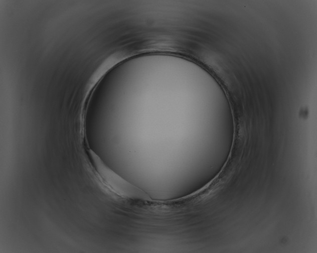 X0000091531370200708311302