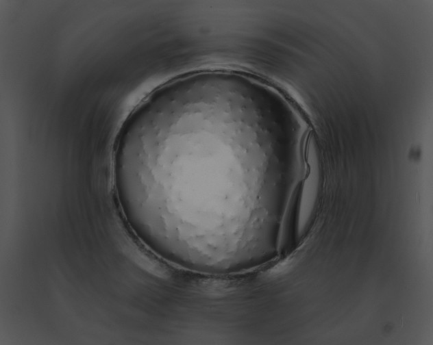 X0000091531371200708311302
