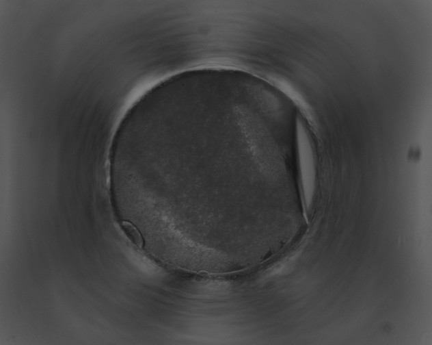 X0000091531372200708311302