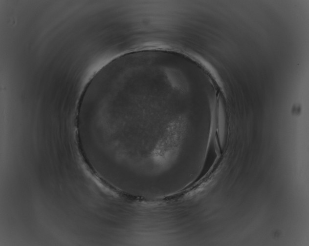 X0000091531373200708311302