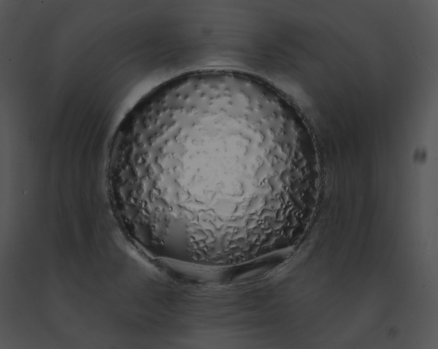 X0000091531374200708311302