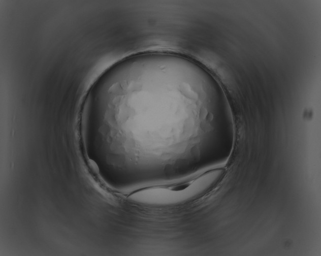 X0000091531375200708311302