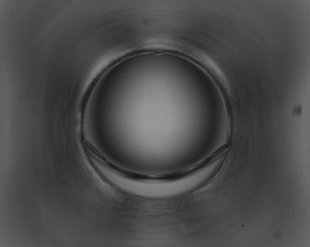X0000091531376200708311302