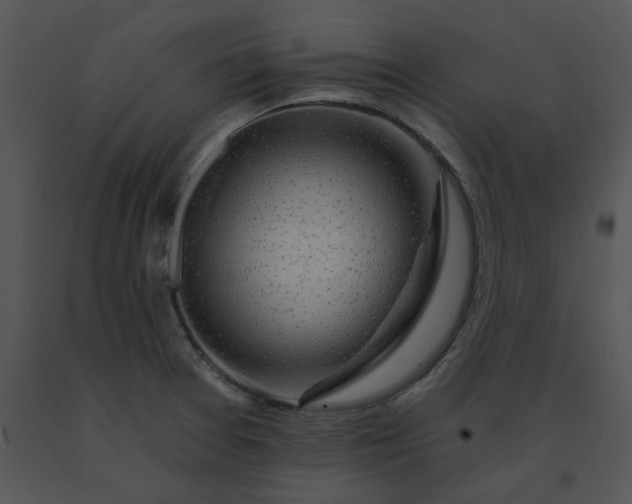 X0000091531377200708311302