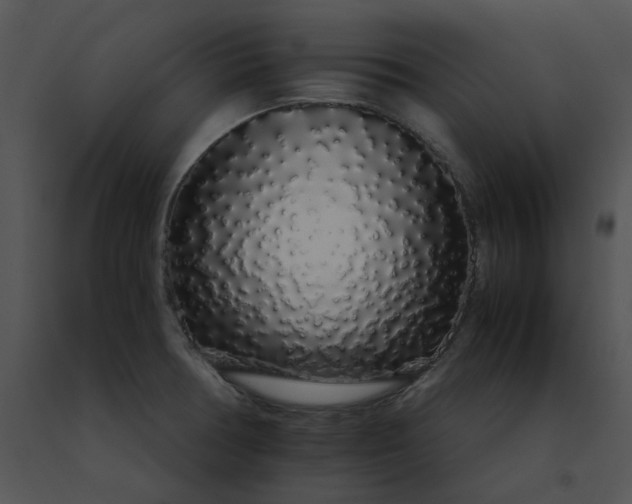 X0000091531378200708311302